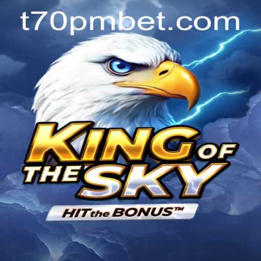 KingOfTheSky: An Immersive Aerial Adventure